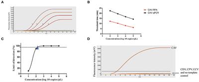 Development of a Recombinase Polymerase Amplification Fluorescence Assay for the Detection of Canine Adenovirus 2